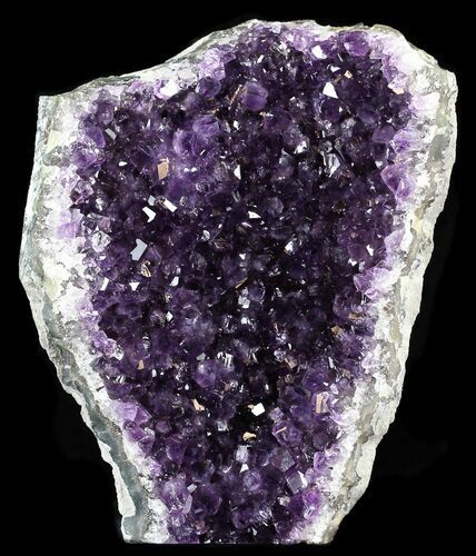 Dark Purple Amethyst Cut Base Cluster - Uruguay #30619